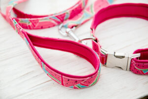 dog-collar-and-leash-set-pet-supplies-and-walking-2023-11-27-05-20-07-utc